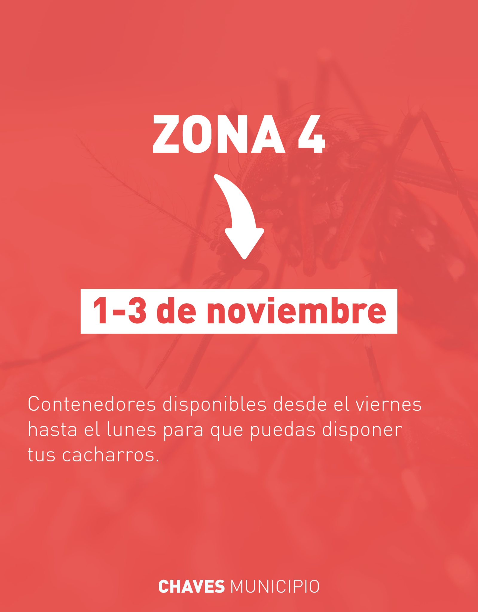 ZONA 4: ¡CONTENEDORES DISPONIBLES PARA DESCACHARREO! ZONA 4: ¡CONTENEDORES DISPONIBLES PARA DESCACHARREO!